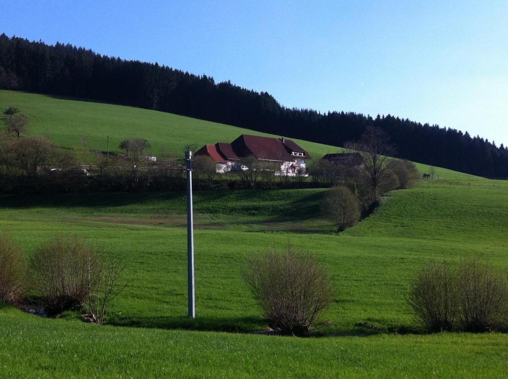 Gasthof Richebaechli Hotel Elzach Exterior foto