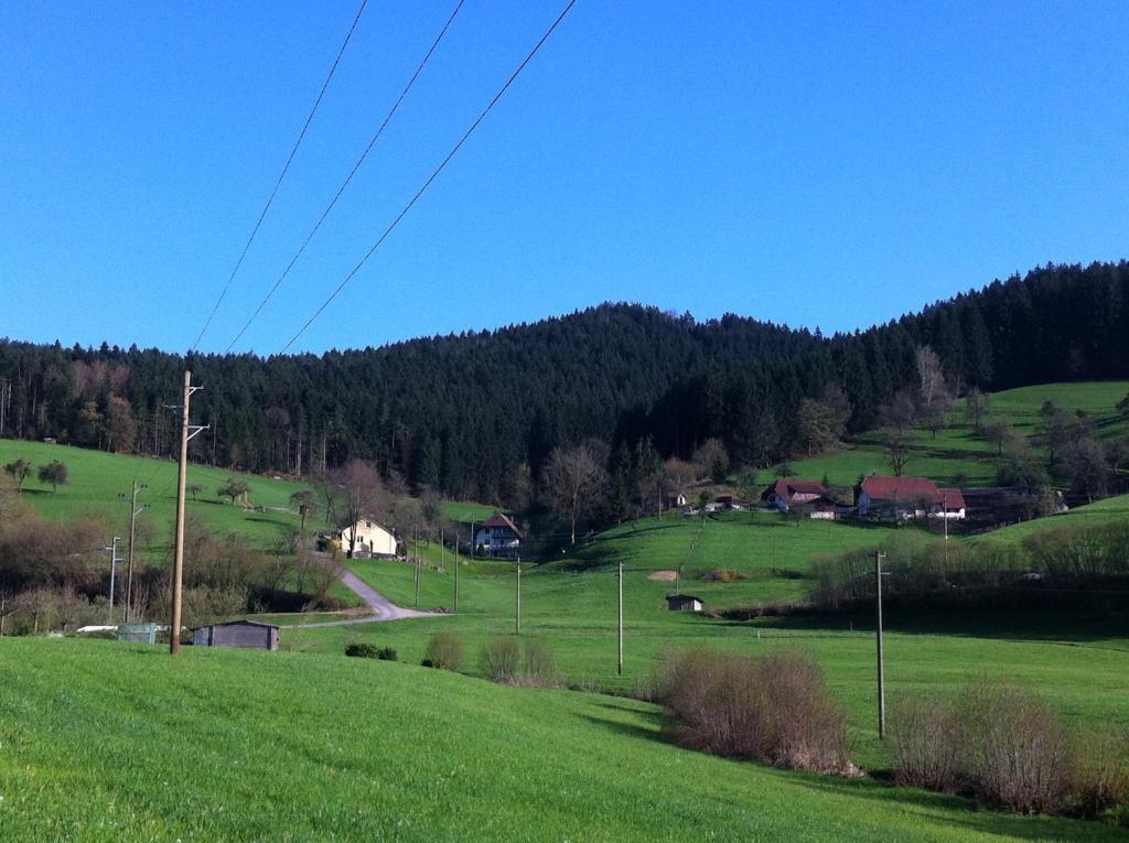 Gasthof Richebaechli Hotel Elzach Exterior foto