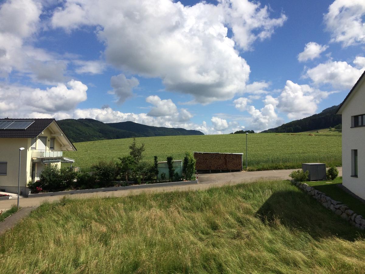 Gasthof Richebaechli Hotel Elzach Exterior foto